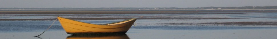 Chuck Ross header image 3